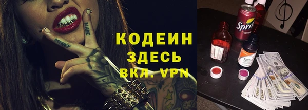 прущий лед Пересвет